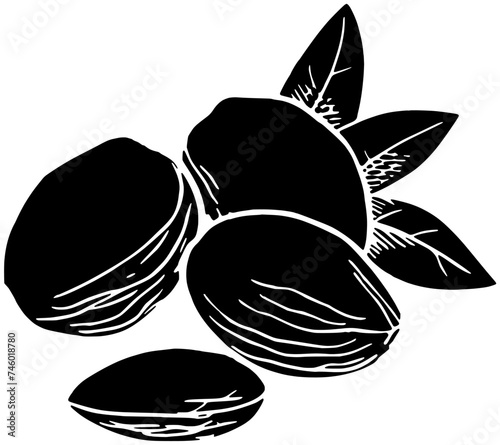 almond illustration food silhouette nut logo healthy icon organic outline vegetarian natural nature kernel leaf raw group macro seed shape of nature kernel for vector graphic background