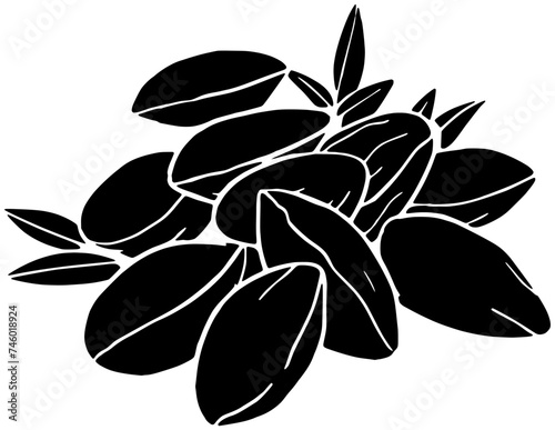 almond illustration food silhouette nut logo healthy icon organic outline vegetarian natural nature kernel leaf raw group macro seed shape of nature kernel for vector graphic background