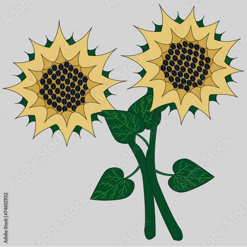 Two sunflowers hug each other, pressing their stems and green leaves. The plant has a yellow flower containing black seeds.