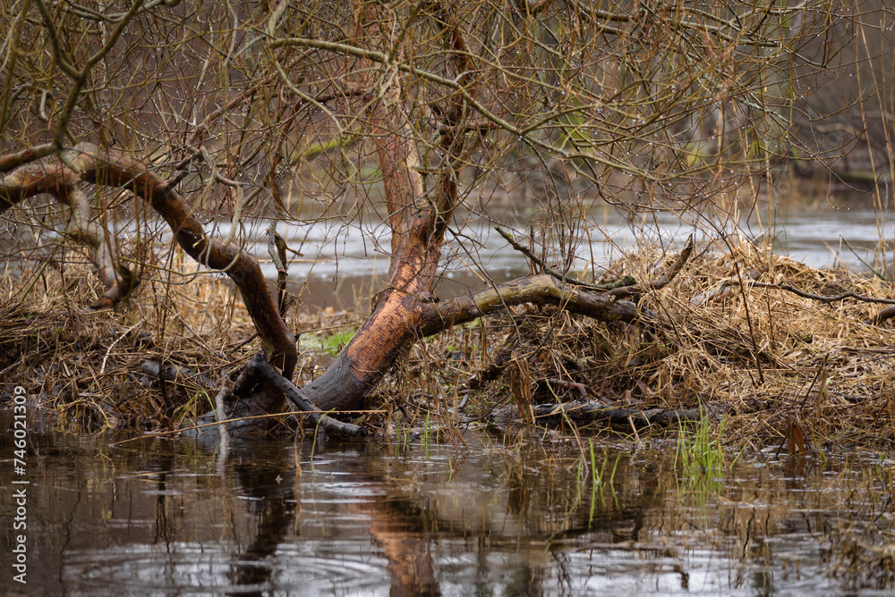 FLOOD - Flooded river valley and meadows after the rains