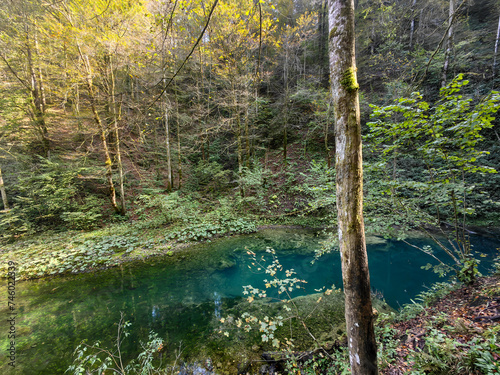 Protected forest landscape of the small river Kamacnik, canyon in Gorski kotar, Croatia photo