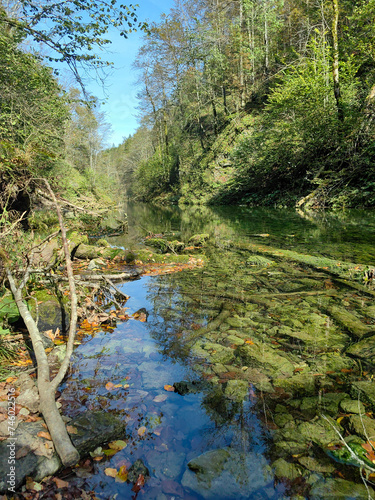 Protected forest landscape of the small river Kamacnik, canyon in Gorski kotar, Croatia photo