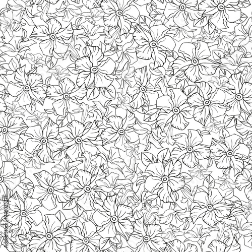 Delicate jasmine floral seamless pattern for textile or wallpaper, scrapbook paper. Black and white vector background with hand drawn plants elements for coloring page