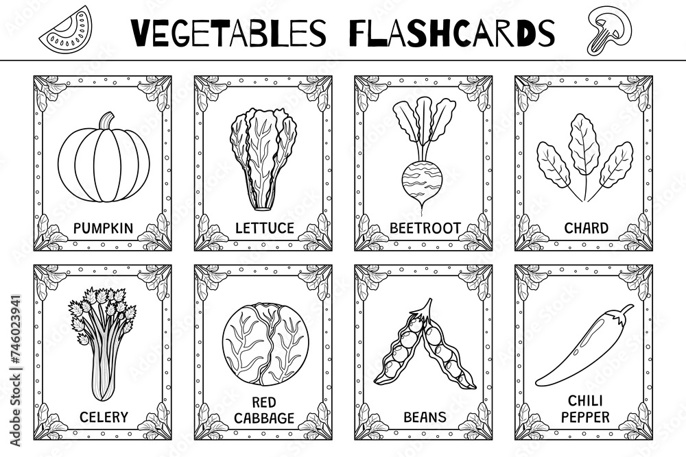 Vegetables flashcards black and white set. Flash cards collection in outline for coloring. Learn food vocabulary for school and preschool. Pumpkin, lettuce, celery and more. Vector illustration