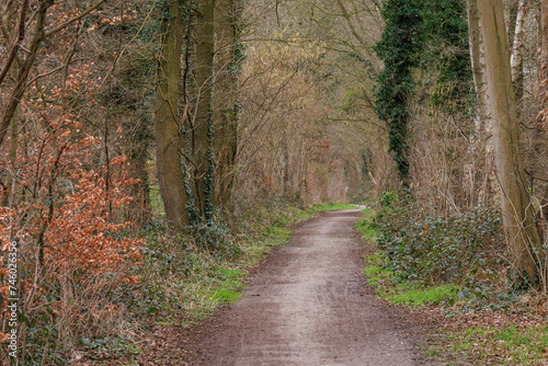 Landschaft bei  BArlo im Münsterland © Stephan Sühling