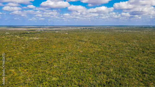 Aerial view of Tulum jungle.