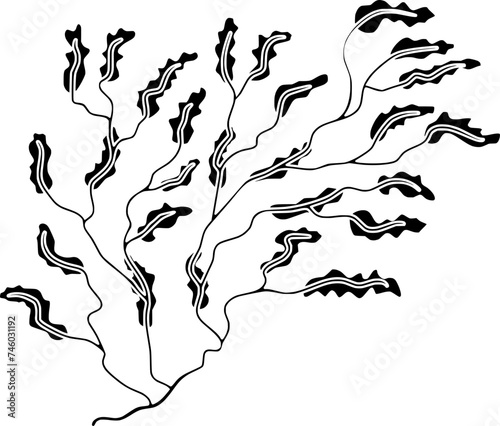 seaweed illustration marine silhouette nature logo ocean icon water outline sea green grass underwater seagrass seascape plant kelp environment shape of grass underwater for vector graphic background