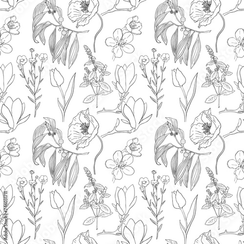Black and white seamless linear delicate pattern in vintage style with floral ornaments and herbs photo