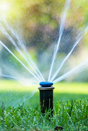 Irrigation system in home garden. Automatic lawn sprinkler watering green grass. Selective focus.