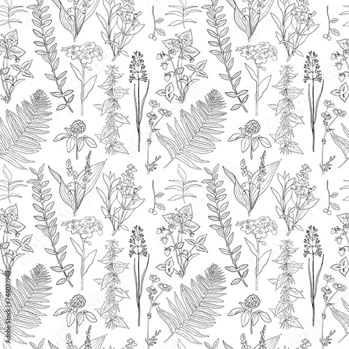 Black and white linear botanical seamless pattern forest herbs and plants photo