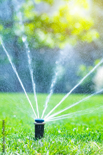 Irrigation system in home garden. Automatic lawn sprinkler watering green grass. Selective focus.