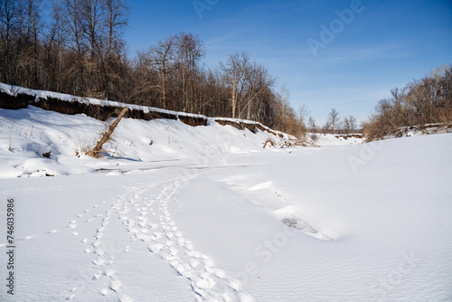 Snowcovered field with tire tracks under cloudy sky