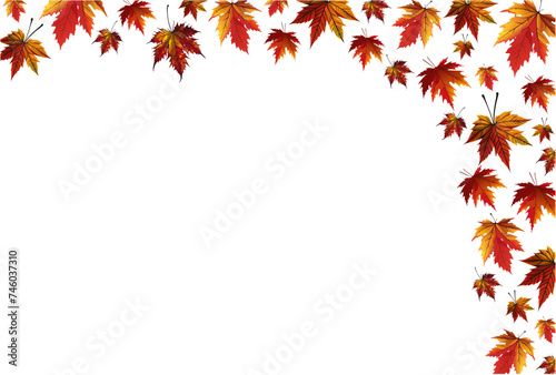 Maple autumn leaves falling creating a frame on isolated white background. empty space for text