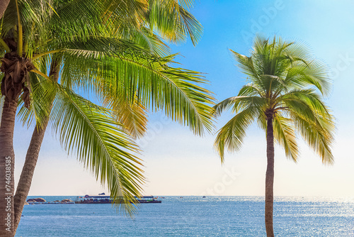 View of the coastline of the South China Sea through palm trees. Sanya China  Park Heavenly Grottoes