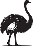 Ostrich silhouette vector illustration