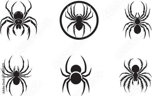Spider silhouette vector illustration © CreativeDesigns