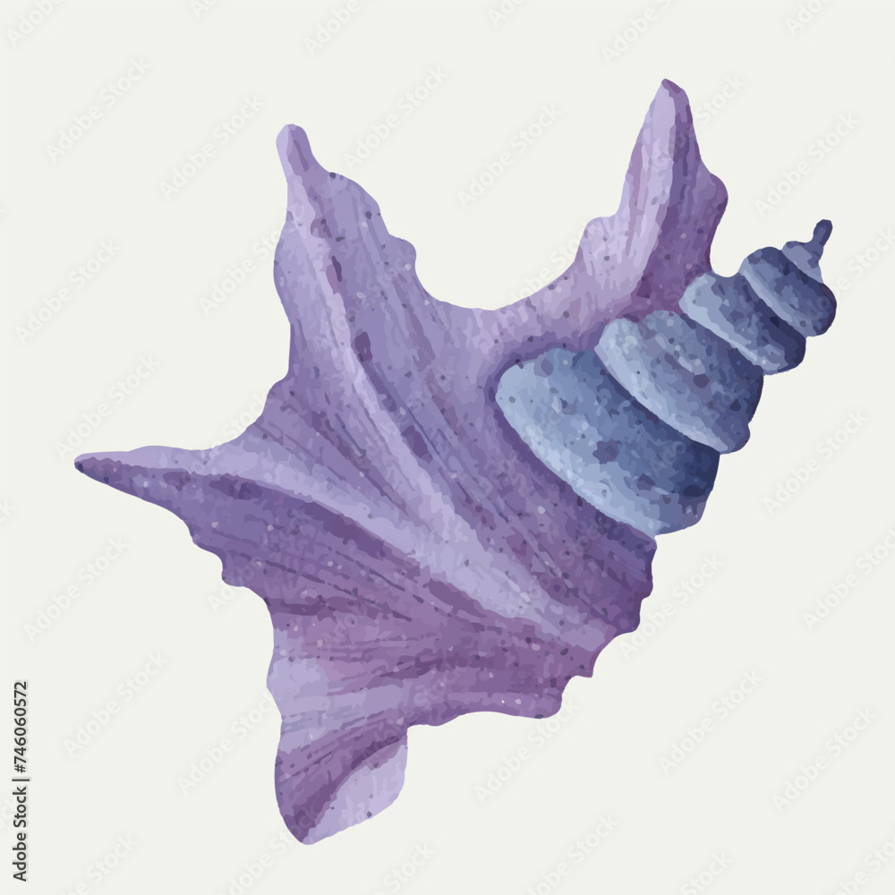 Obraz premium Seashells Ocean Beach, Aporrbaidae Seashell Clipart illustration