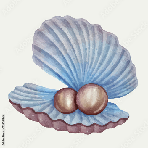 Seashells Ocean Beach, Pearl Seashell Clipart illustration