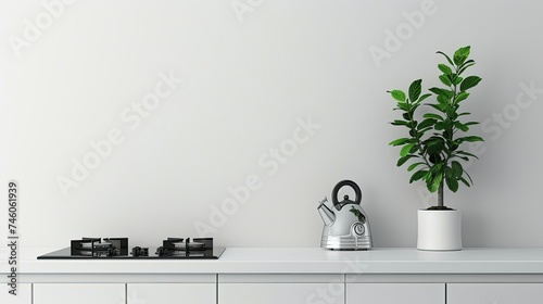Minimal kitchen with white countertop, kettle, and potted plant.