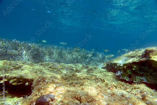 Underwater mediterranean
