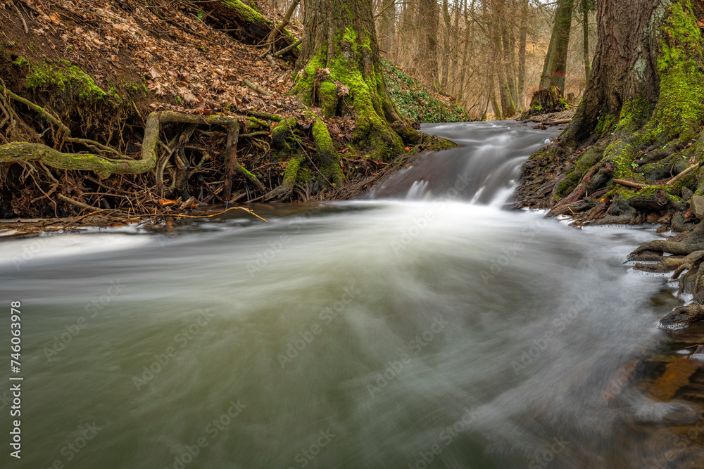 Obraz premium Uneticky creek with flooded water in winter spring evening in Prague