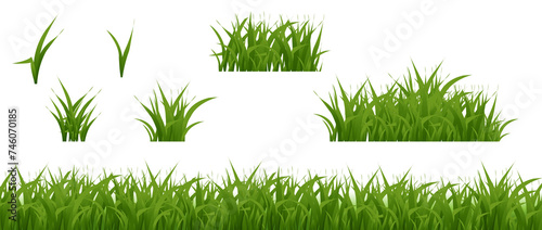 Grass Texture Green Border Collection