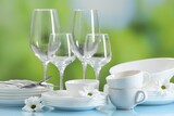 Set of many clean dishware, cutlery, flowers and glasses on light blue table against blurred green background