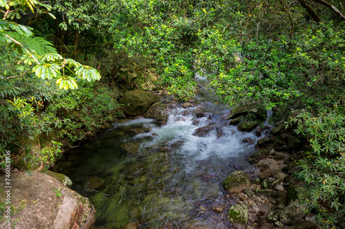 Bushwalking along the Mossman River in Mossman Gorge, Daintree National Park, Queensland, Australia