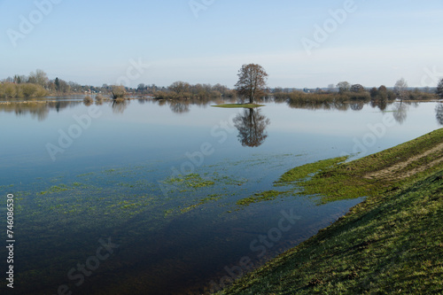 Rozlewiska Bugu w okolicach Broku. Polska