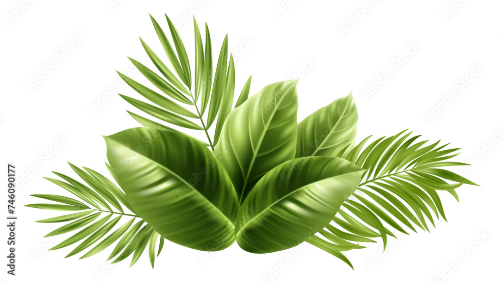 Tropical Palm Leaves. Palm Tree Plant Leaf Tropical Palm Leaves. Palm Tree Plant Leaf