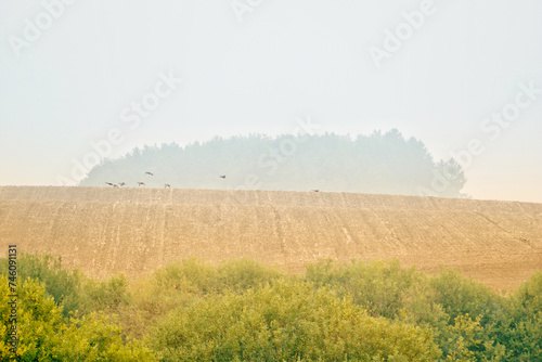 Scenic view of landscape in rural Poland