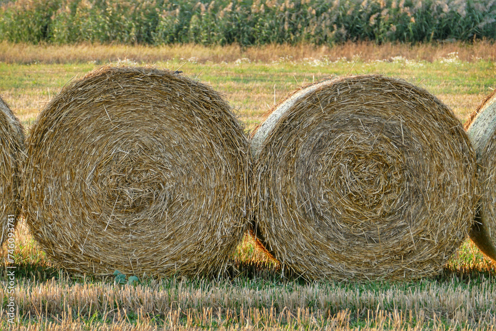 Scenic view of hay bales in rural Poland Scenic view of hay bales in rural Poland