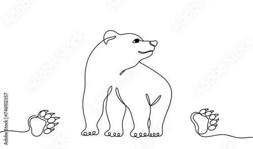 Bear. Animal. Paw. Imprint