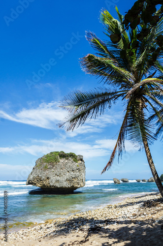 Palm trees and coral rocks on the beach of Bathsheba, Barbados, Caribbean West-Indies Islands. This mushroom rock belongs to an eroded Coral Rock Formation in the Atlantic at Barbados.