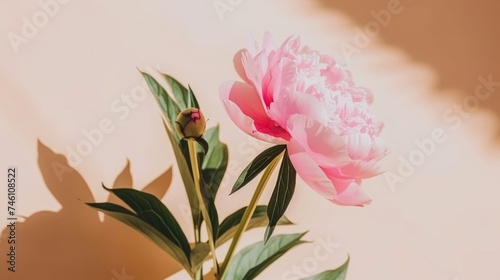 a pink flower sitting on top of a wooden table next to a shadow of a person's shadow on the wall. photo