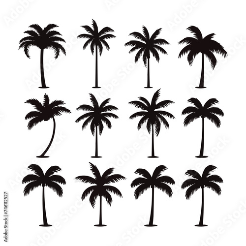 Black palm tree set vector illustration isolated on white background silhouette art black white stock illustration logo icon tropical  beach  landscape  pattern  paradise  coconut background