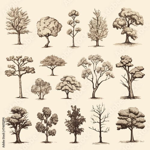 Hand drawn sketch tree species illustration set. Vector isolated vintage background