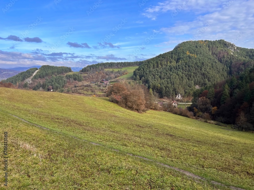 Fototapeta premium landscape with meadow and mountain
