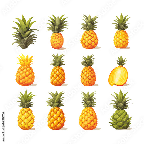 Pineapple fruit set. Tropical sweet ananas collection in different styles. Vector illustration isolated on white.