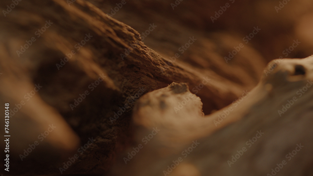 Macro details of firewood and smoke Macro details of firewood and smoke