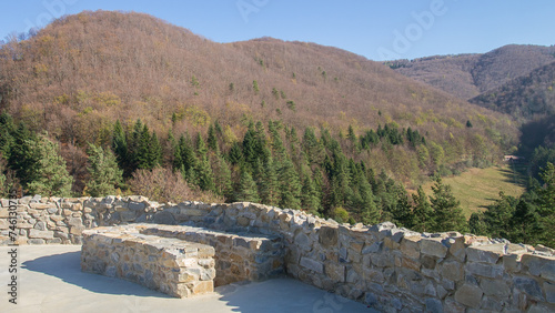 Widok z zamku w Rytrze na pagórki i las