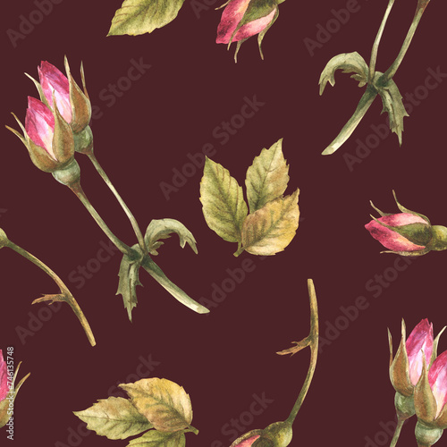 Watercolor wild rose hip buds leaves, dog cancer, brier rose flowers im bloom Botanical seamless pattern for label, wrapping paper, fabric, wallpaper Hand drawn illustration isolated dark background.