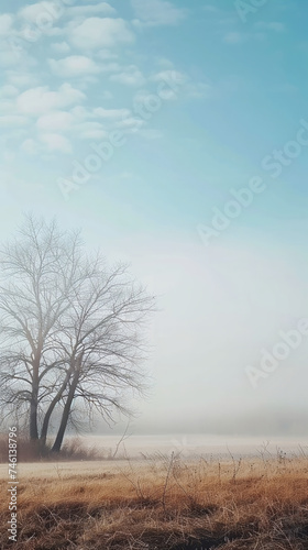 A misty morning in the countryside Calmness atmospheric photo footage for TikTok, Instagram, Reels, Shorts