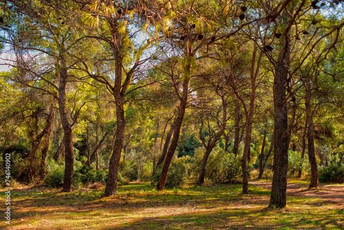 Alsos Syngrou, Athens 