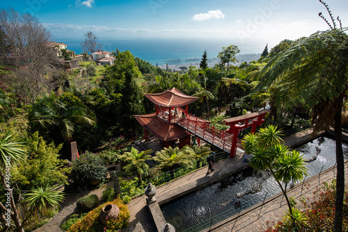 Funchal, Madeira, garden view