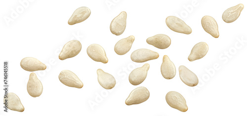 Photography Falling sesame seeds isolated on white background
