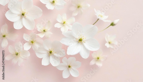 Whispering Petals: White Florals Against Soft Pastel Pink