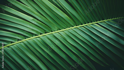 Giant Green Leaf  Natures Intricate Canvas