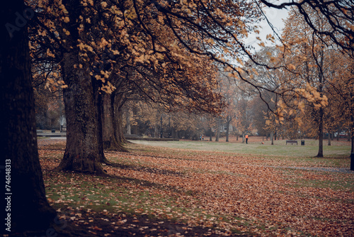 Autumn In the Park