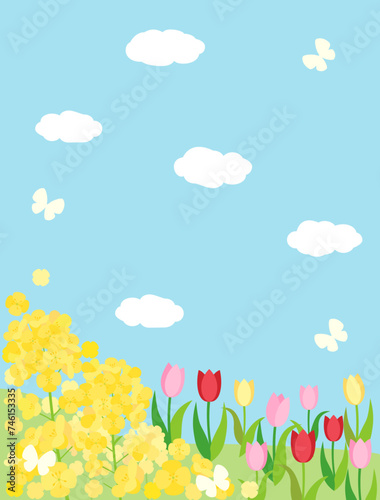 菜の花とチューリップと青空の春の丘のカード 縦型バージョン 